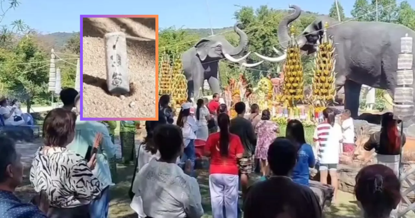พญานาคมุจลินทร์